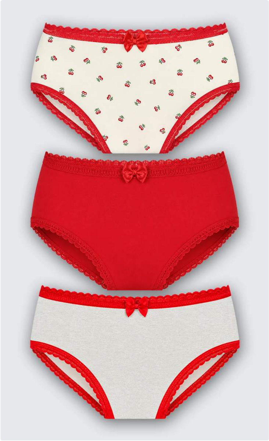 Kit 3 Calcinhas Lobinha Estampada Algodão
